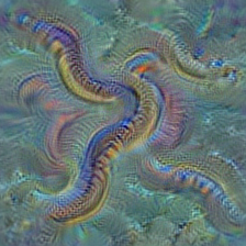 n01751748 sea snake